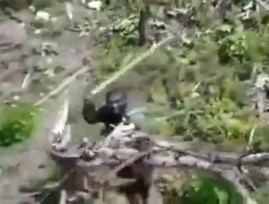 soldier fights drone with stick